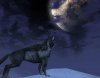 wolf.jpg