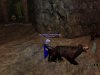 CaveBearLove.jpg