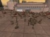 bug.jpg