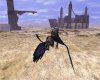 flug3.jpg