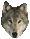:wolf: